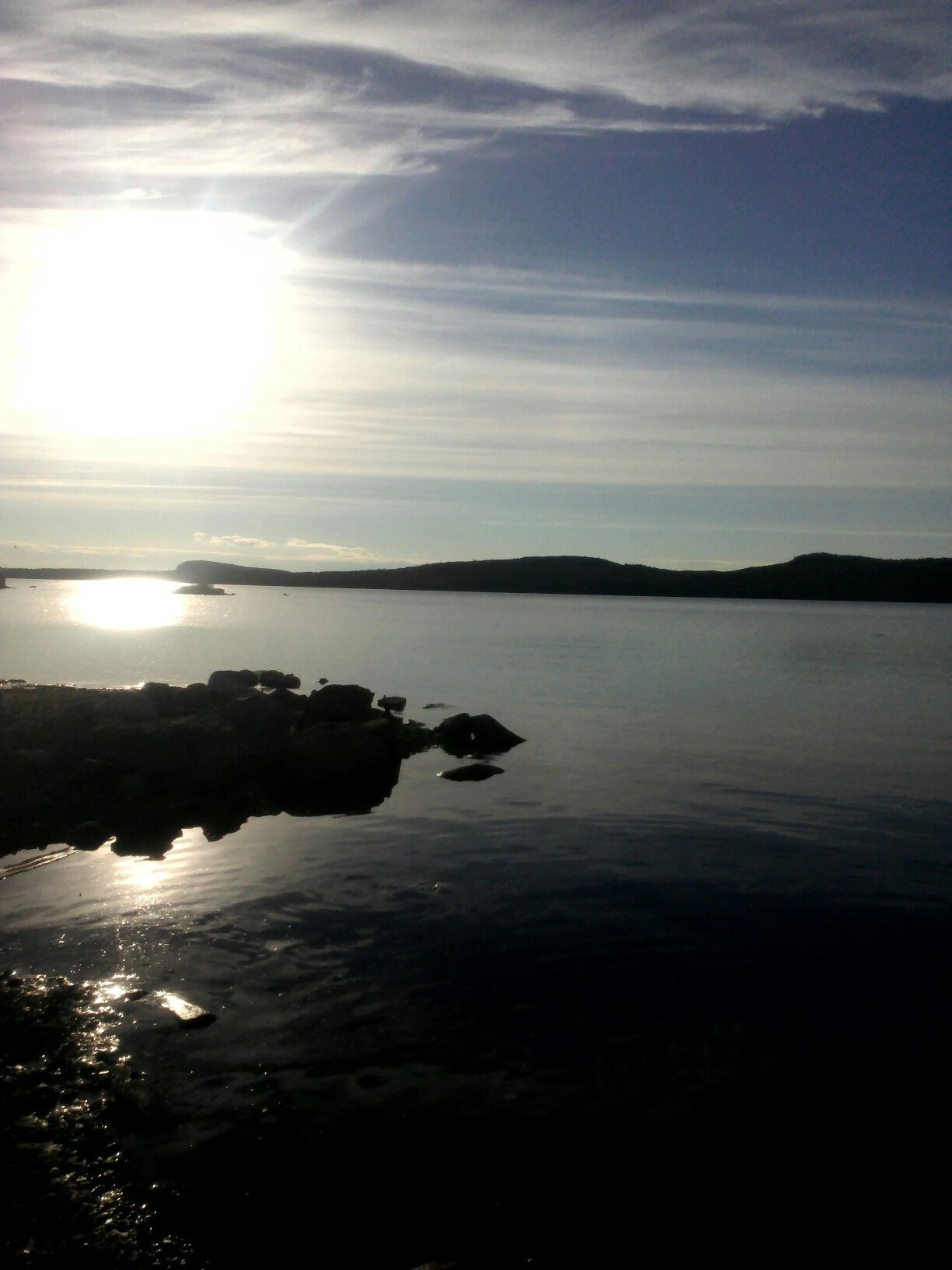 1000011694.webp