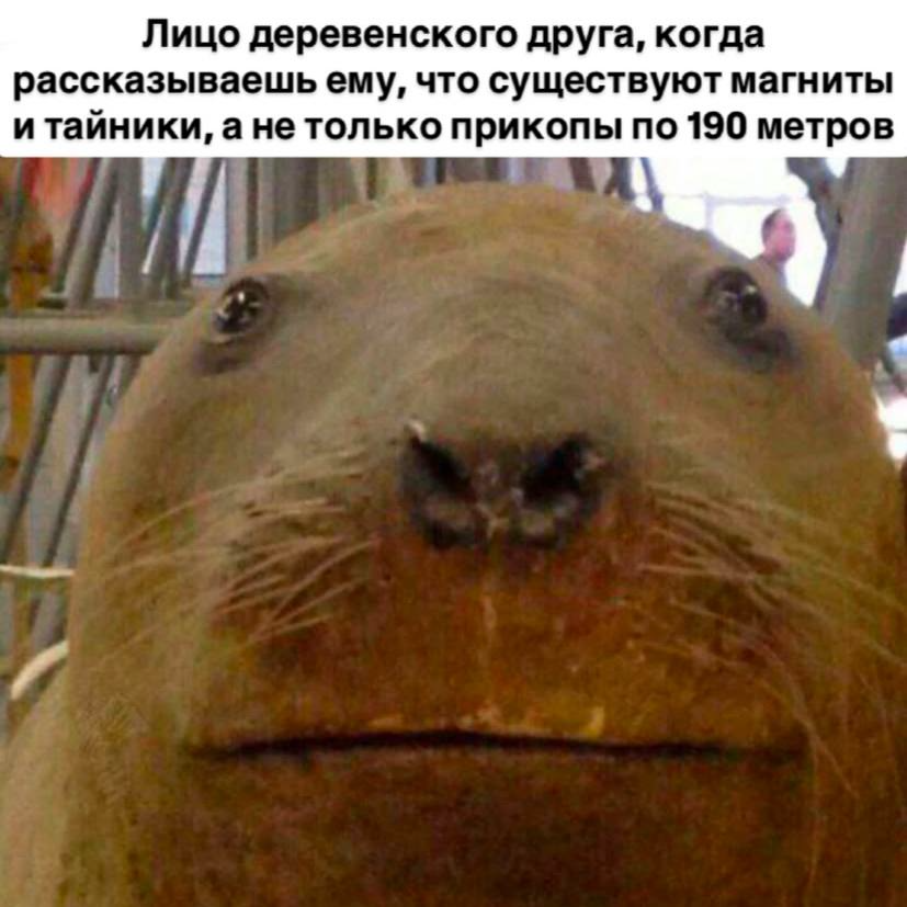 1741947702440.png