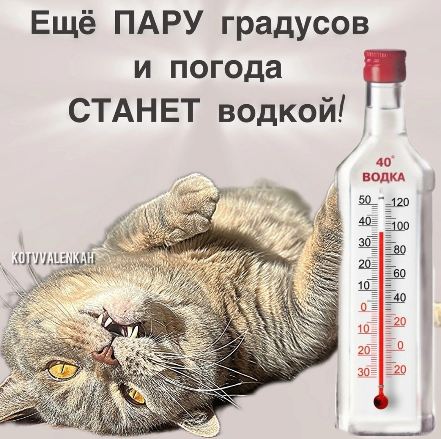 1780916533928.png