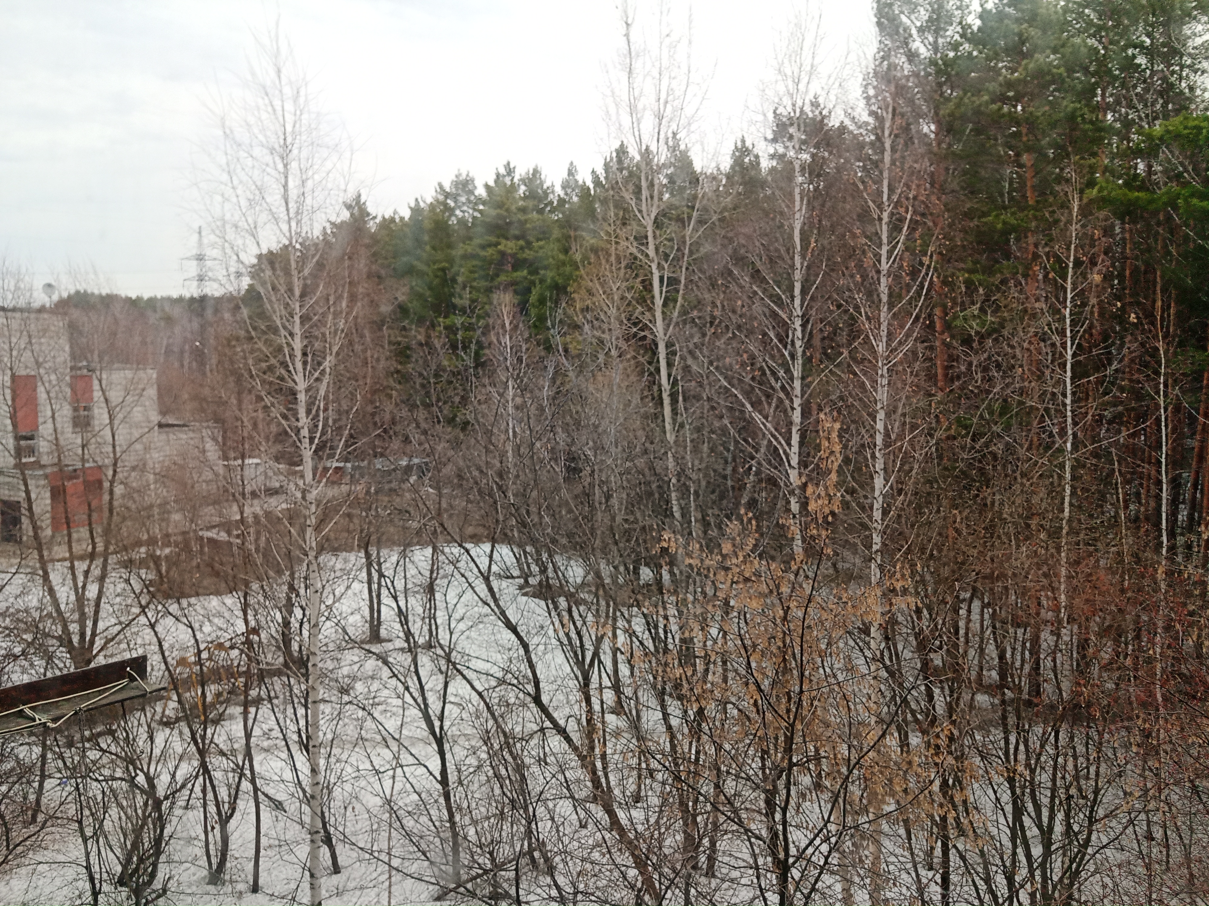 IMG_20230427_075821.jpg