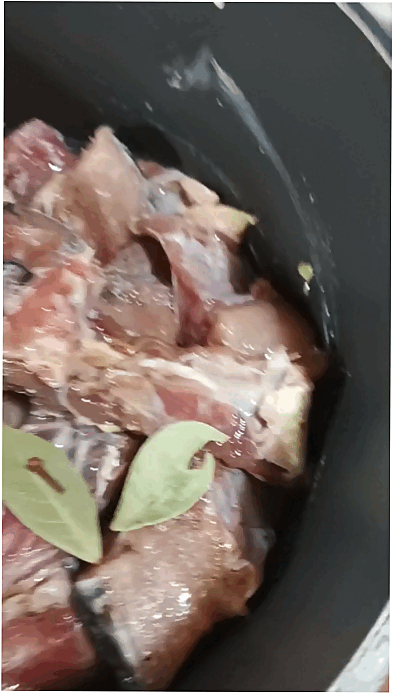рыб1.gif
