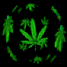 Green Planet®
