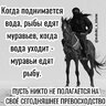 RomanVegaRu