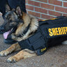 The_Police_Dog