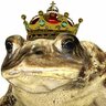 баттлтоад