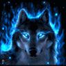 Volf37