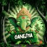 Tarakanita