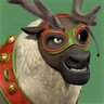 Dasher14