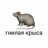 Stuff-Petersburg
