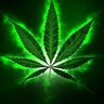 Ganja318
