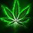 Ganja318